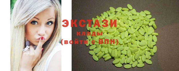 гашик Алексин