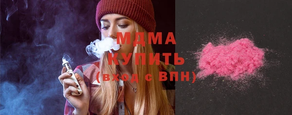 гашик Алексин