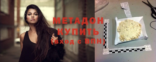 гашик Алексин