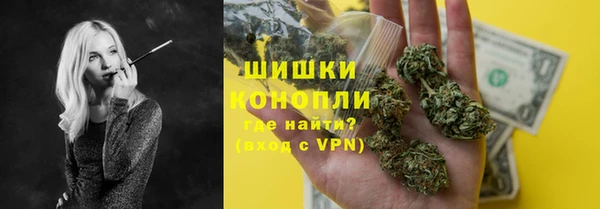 стафф Снежногорск