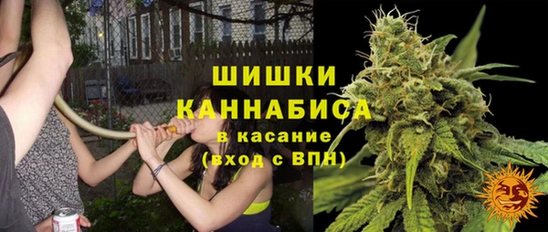 гашик Алексин