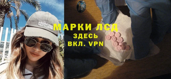 гашик Алексин