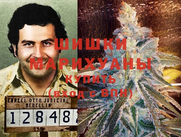 гашик Алексин
