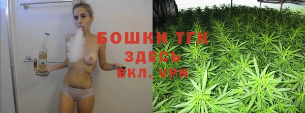 гашик Алексин