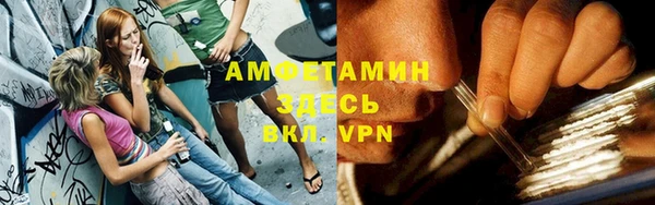 гашик Алексин