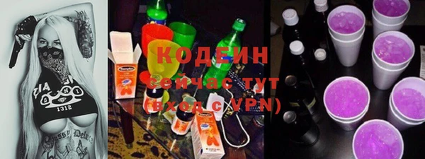 гашик Алексин