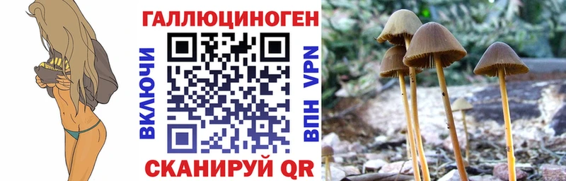 Псилоцибиновые грибы Magic Shrooms Карасук
